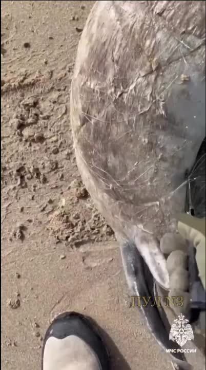 ����� ������������ ������� ��� - � ��������� ������ ������-������: ���� ��������� � ���������� ���� ������ ���������....