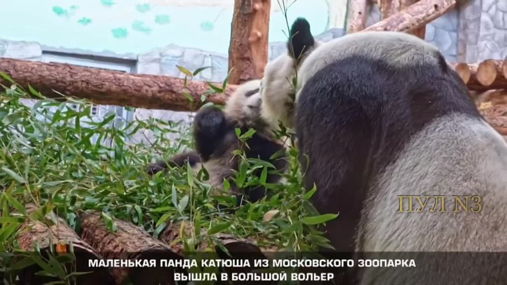 ������ ����� ������ � ���� ���������� � 8 ����� - ��� ������ ���������� ����������� �������� ������ ������� �������-�����: ������� ������� ����� � ������� ������ ����������� ��������, � �������� ������ ������ ����������� ��� �����������