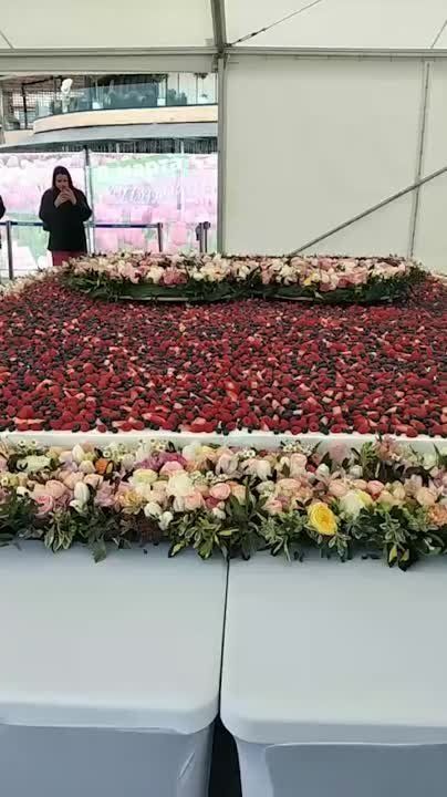 ����� ������� ������� ���� ����������� � ���� �� �������� 8 �����