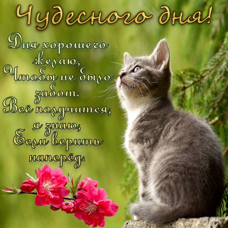 ��������� ��� � ��������� ����������