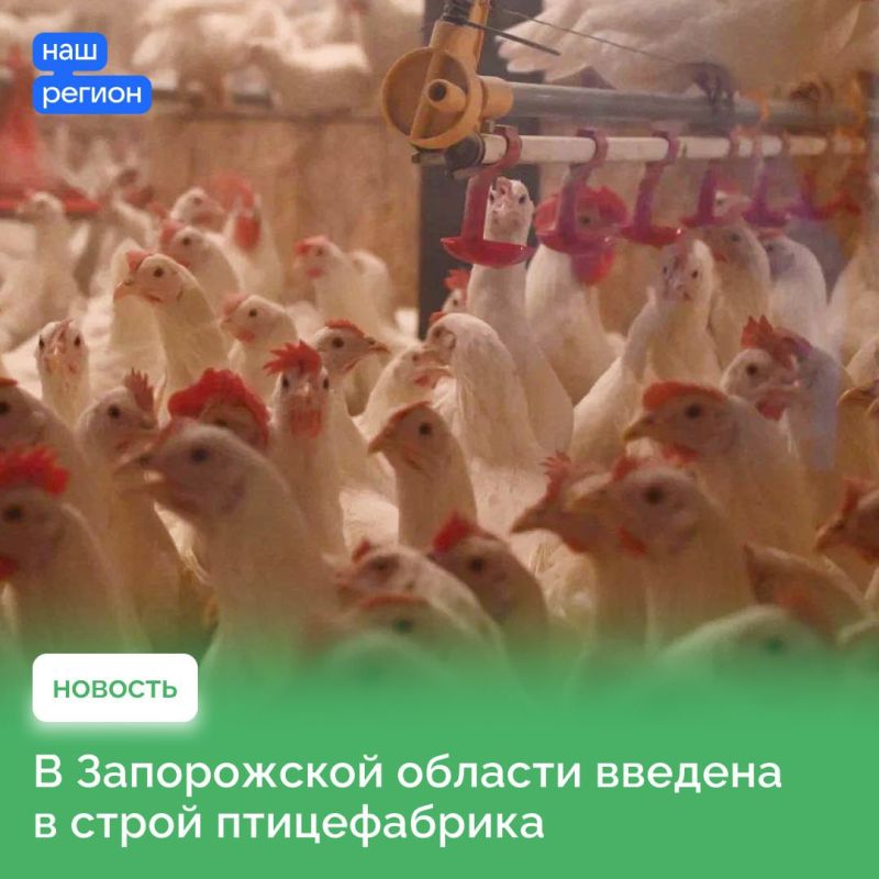 � ����������� ������� ����������� ������������