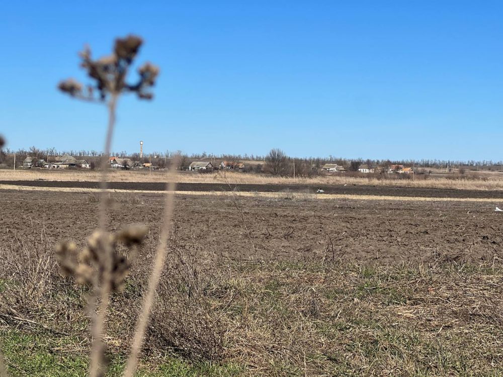 ������ ������: � ������ �����! ��� ������������ �������� ��������������