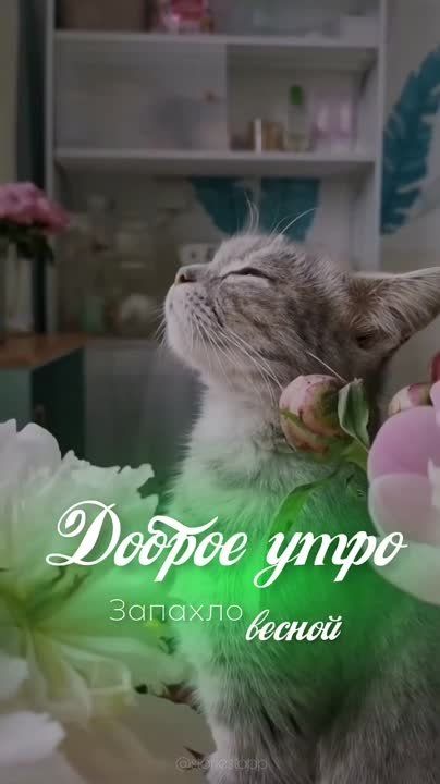 ������ �������
