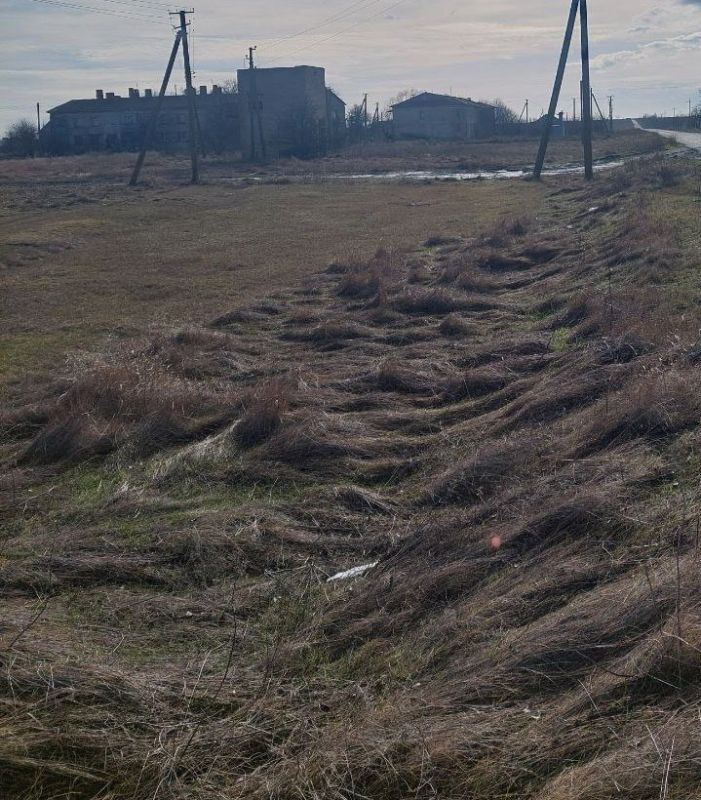 ������ ������: � ���� �������� ��������������� ������ ����� ������� ���������� �������������� 1,8 ��