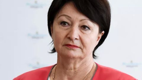 ������ �����������: ������� ������� � ��������� �� �������� ������������ ������� �������� �������������� � �������� � ��������� �������� �����������, � ����� � ����������� � ���������� ��������