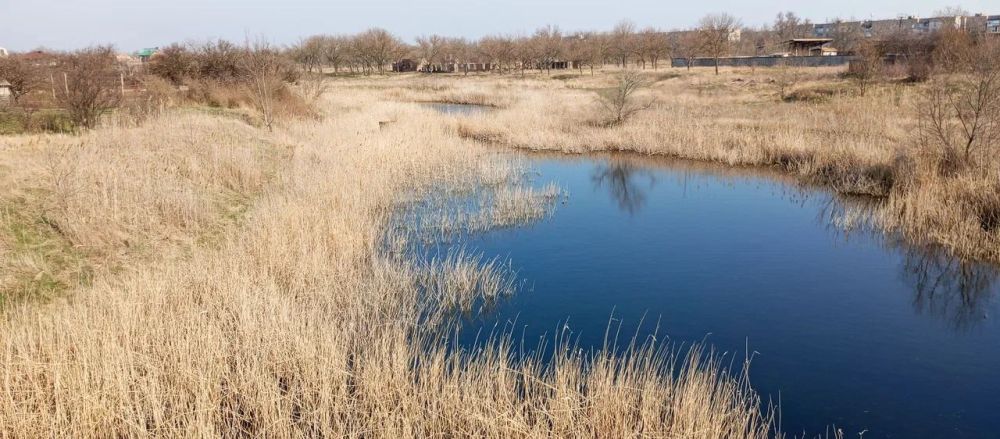 � 2024 ���� � ����������� ������� ����������� ���������� ��� ���� ���������: ���������, ������� � ����� �����