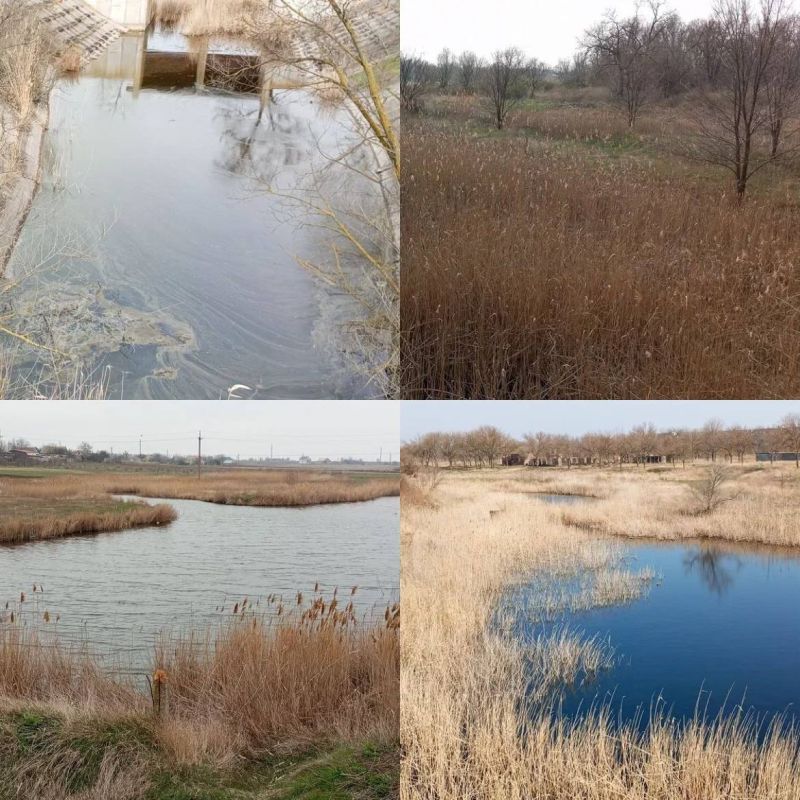 ���� ���������, ������� � ����� ����� ����� ������� ��� � ���� ����