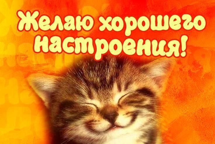 ��������� ��� � �������� ��������
