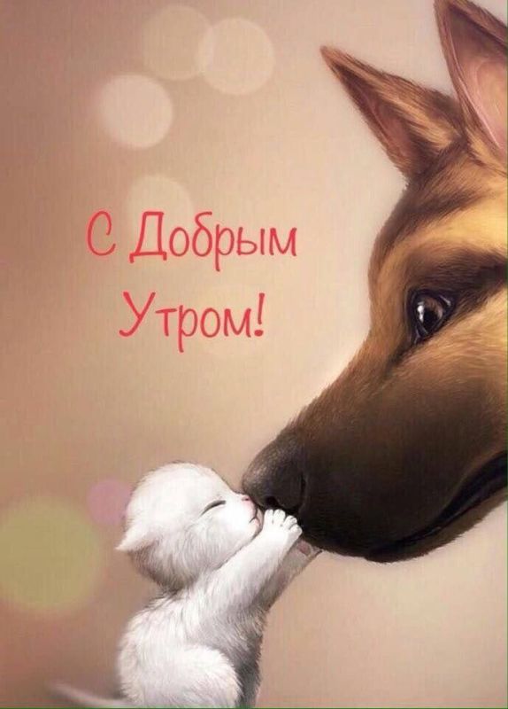 ������ �������