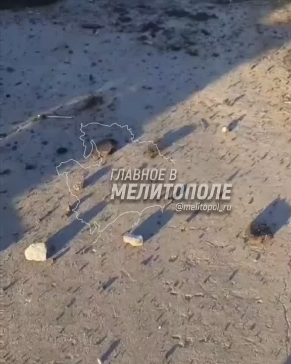 �� �� ���������� ���� � ������ ��������� � ����� ���� ����������� ��������� ���������� �����