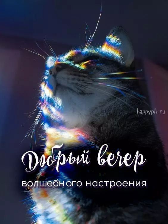 ������ ��������� ������