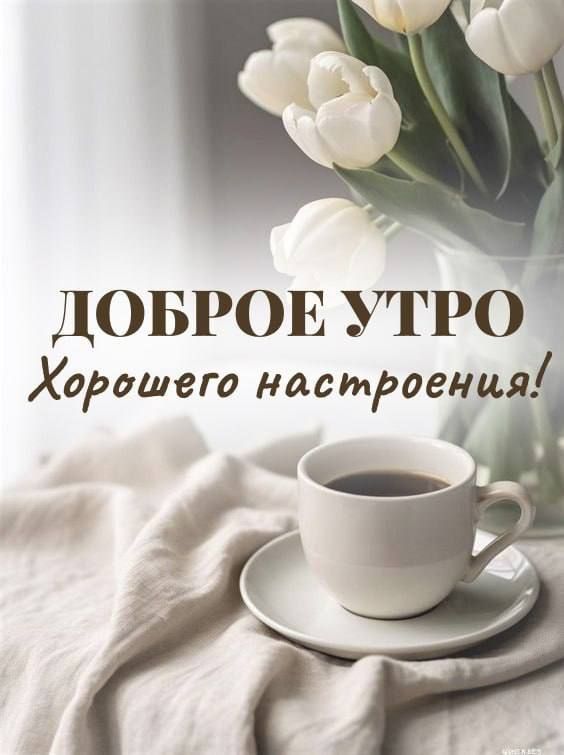 � ������ ��������