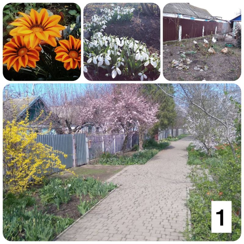 ������ ������: �������� ���������� � �������� �������� "������ ���� �������-������� �����"