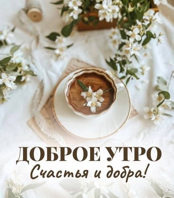 � ������ ��������