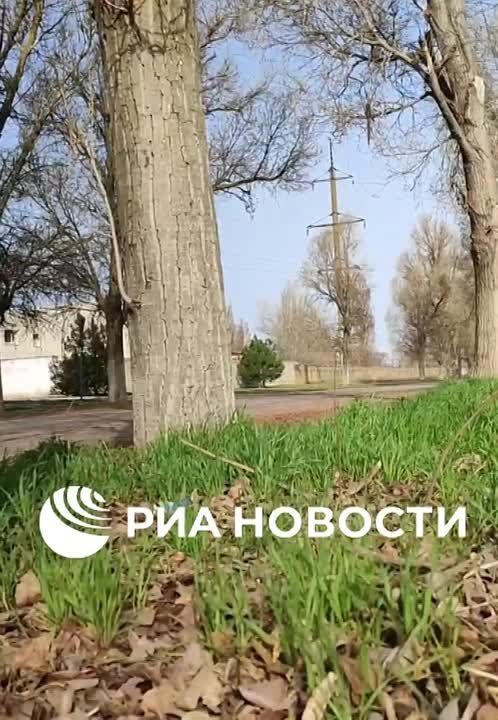 ��� ������������ ������������ ���������� ������������ � ��������-����������� ������