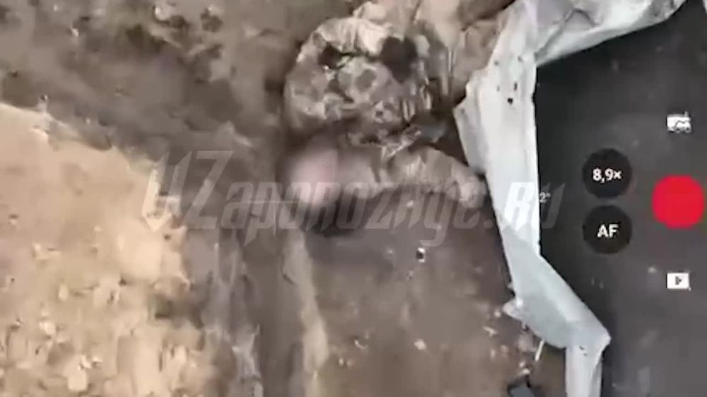 ��������� ���� 417 ��������� ���������� � ����������� ���� �� ����������� ������ � � ��������� ���������� � ������������