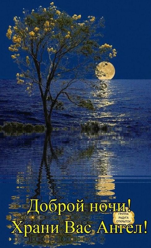������ ����������