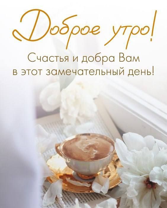 � ������ ��������