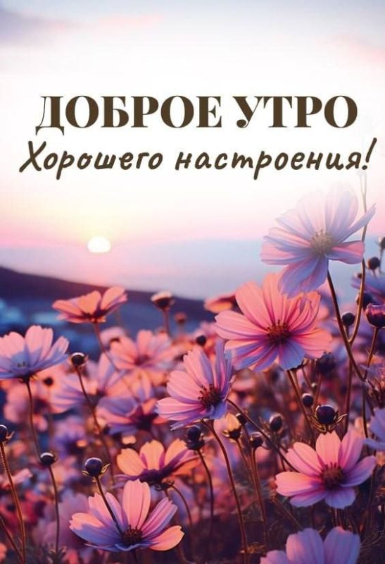 � ������ ��������
