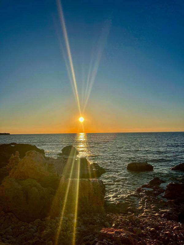 ������ ������: ������ ���� �� ������ ������-����� �����������!