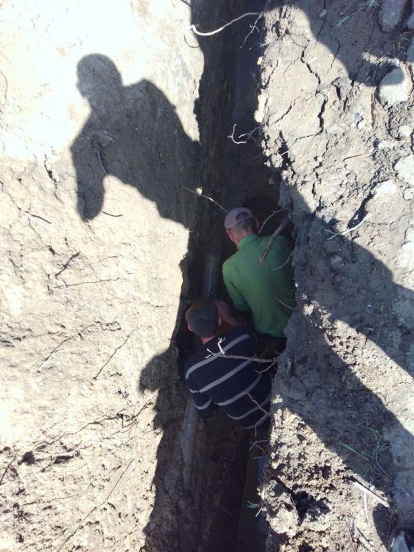 ������ ������: ���������� ��� ���������� ��������� ����� � ���� �������������� � ������