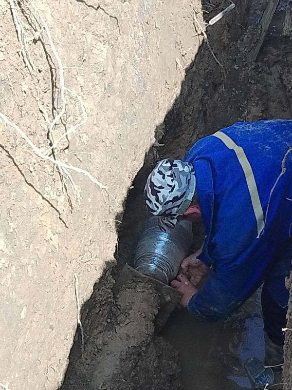 ������ ������: ����� � �������������� ��������