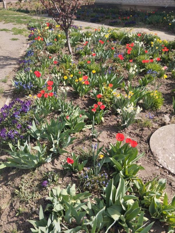 ������ ������: ������� ��������� ������������ ���������������� ������, ������� ��� "�������������� ����", ��������� ��������, ��������� �����������, �������� ���� ����� �� ���������!