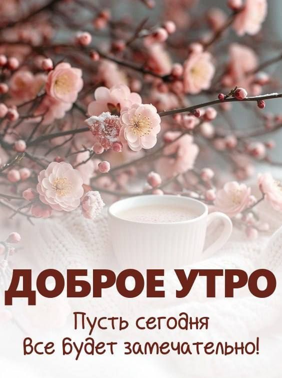 � ������ ��������