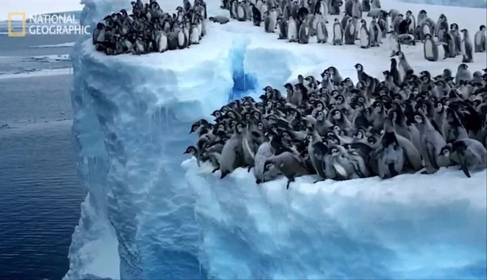 ��� �� �����, ����� �� �����