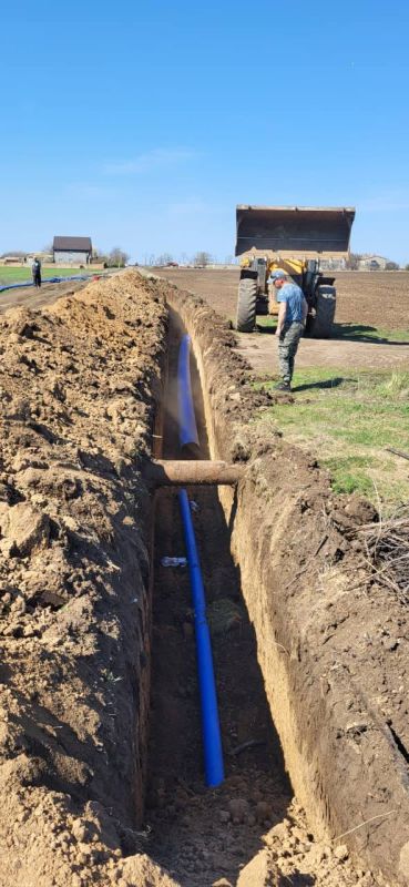 ������ ������: ���� �� ����������� ���������� ������ �� ������ ����������� � ����������� ������������ � ���� ��������