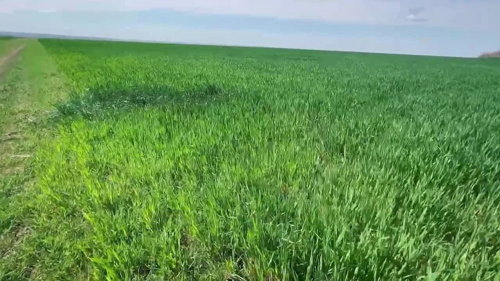 ������ ������: �������� ������ ������ ����������, ��� ������ ���������� ������� ���� ������, ��������� �������� ������ ������