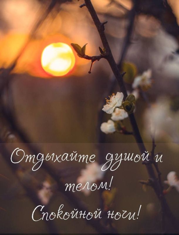 ������ ����������