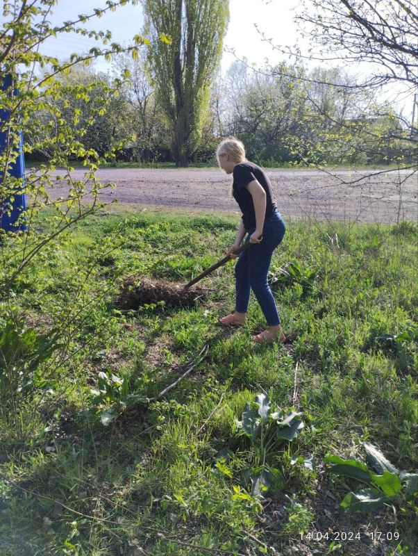 ������ ������: �������� �� ���� ���������� ������ ������� �� ������� ��������