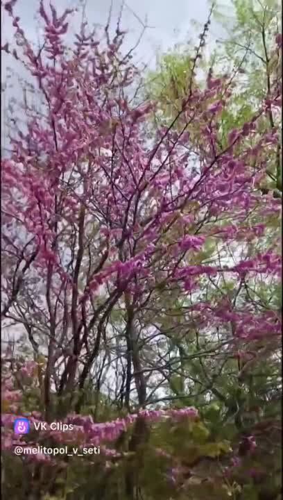 ���-3 ����� � ����� �������� � ���������� ��� ����� �������� ����
