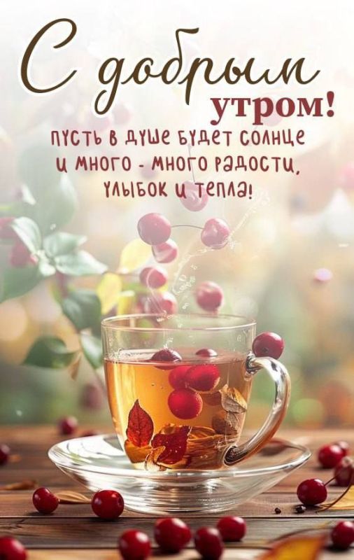 � ������ ��������