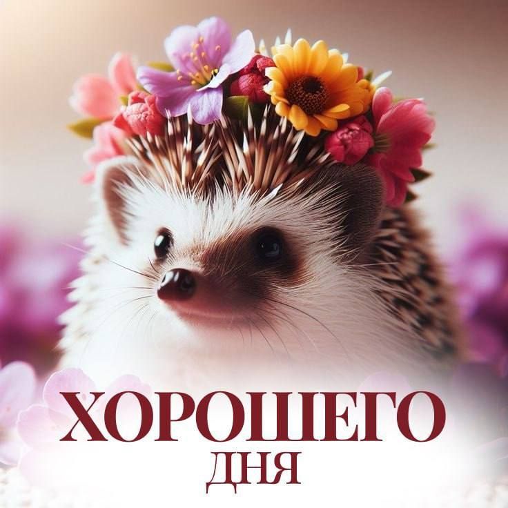 �������������� ��� � �������� � ����