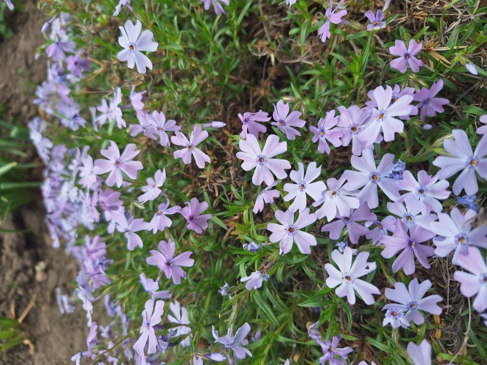 ������ ������: ������ ����, ������!. ������� ��� ��������� ��������� �������� �� ����� ���� ������ �������! ����� ��������������� �������������� ������ ������ ������ | Telegram | ��������� | ������������� | ����