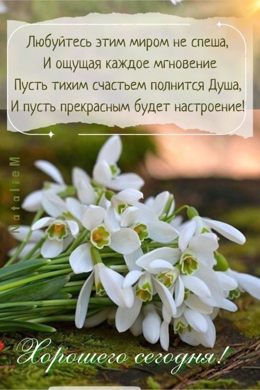 ������ � ���� ���������� ���� � ��� �� ����� ������