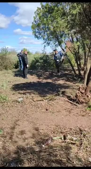 ������ ������: ���������� ������������� ���������������� ������ ����������� ���������� ��������� ��� � ������������ ��� ������