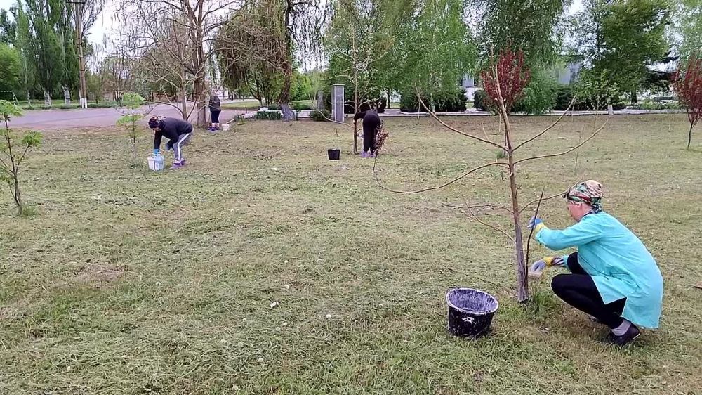 ������ � ������������ ����� ��������� ������� � �������, � ���������� � ������ ��������