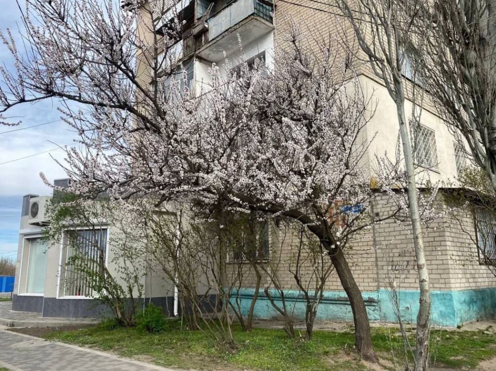 � ���������� �������� �������
