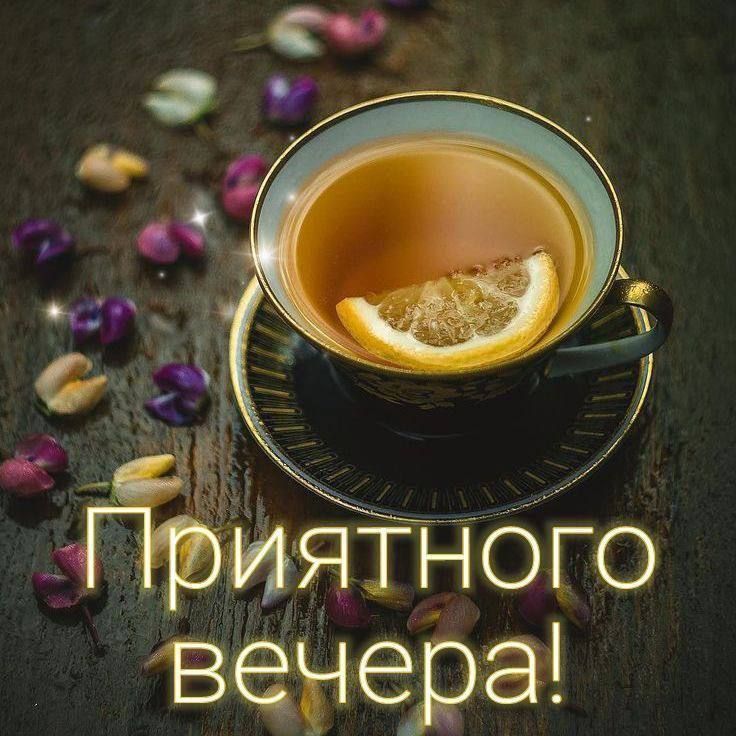 ������ �������� ������