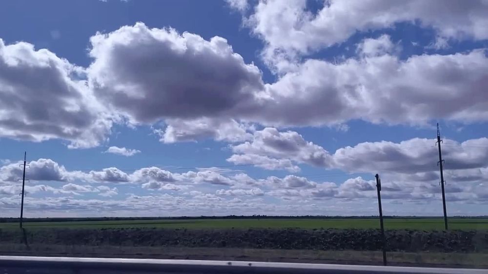 ������ ������: �������-������� ����, ������!