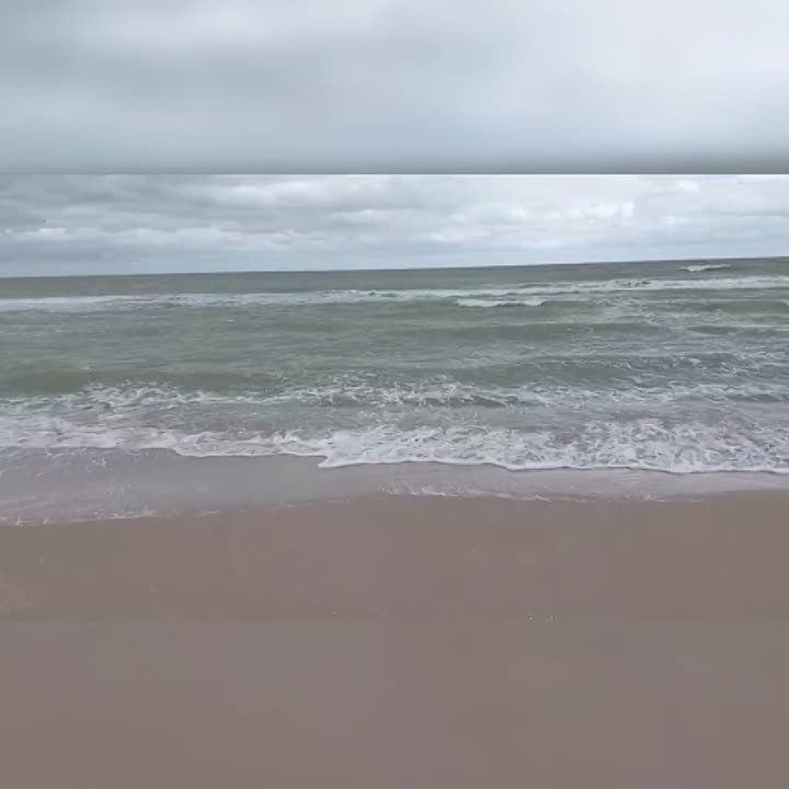 ���� � ���������� �� ���������