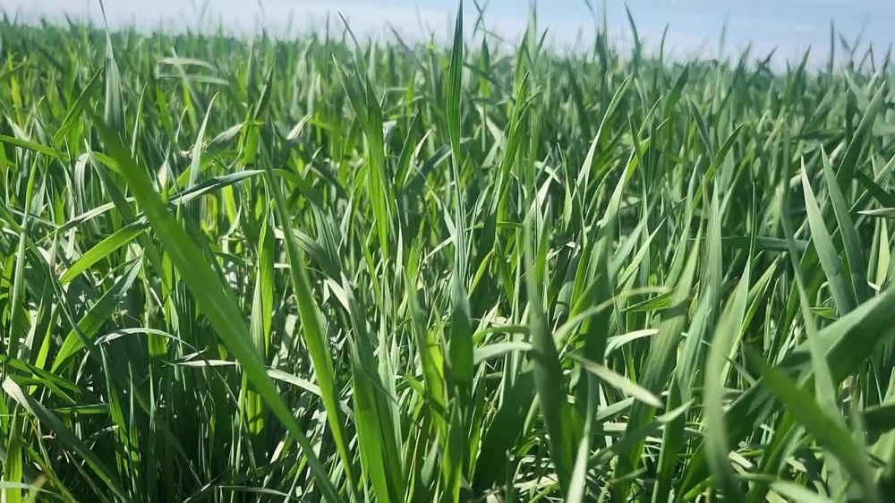 ������ ������: ����������� ������� ��������������! ��� ����� ���� ����������? � ������ �����, ������!