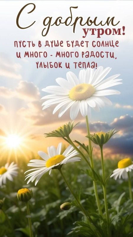 � ������ ��������