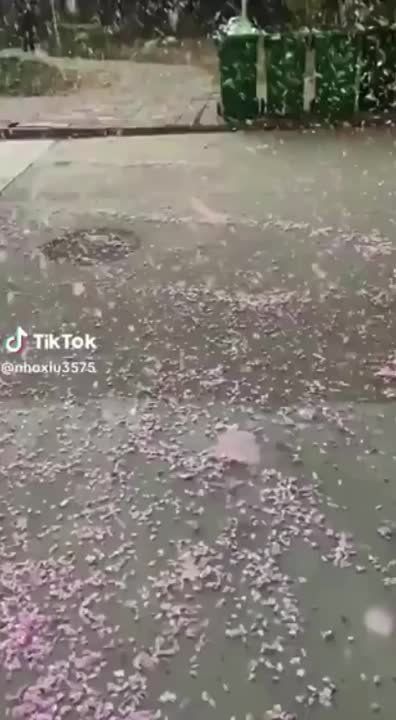 ������ �� ��������� �������� ������: � ����� ������ ������ ���������� � ����� �� �������� �����