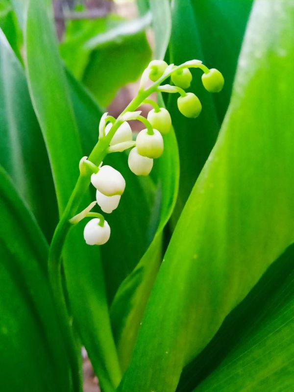 ������ ������: �������, �������� ��� ����, ������!