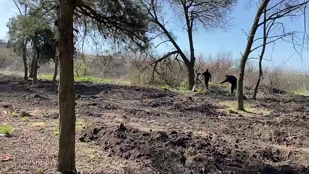 � ���� ������-�������� ���������� ��������� ��������������� ���������� ������ �������� ������ ����� � ������� ������ �����