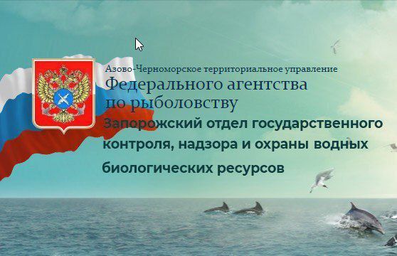 �� ���������� ����������� ������� � 1 ������ �� 31 ��� � ������������ � ����������������� ���������� ��������� �������������...